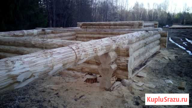 Срубы из кругляка Тверь - изображение 1