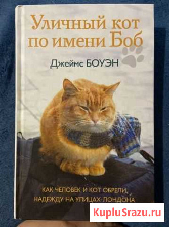 Книга Вологда - изображение 1