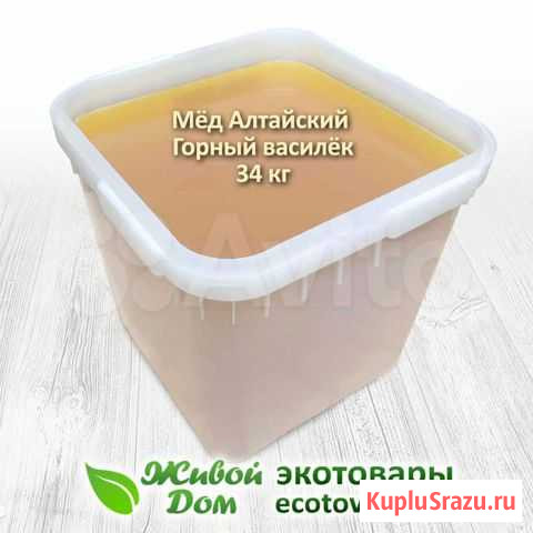 Мёд Алтайский - Горный василёк. 34кг куботейнер Череповец - изображение 1