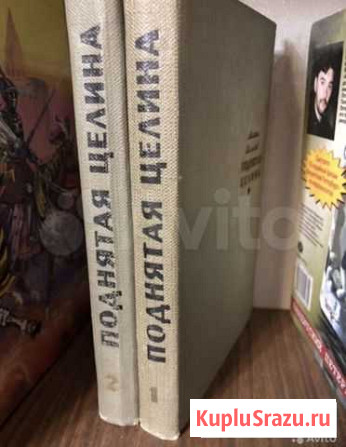 Поднятая целина Шолохов Новосибирск - изображение 1