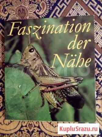 Книга. Faszination der Nahe, 1960г. (на нем.языке) Новосибирск