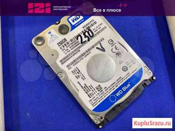 2.5 Жесткий диск Western Digital 250gb SATA 6gb/s Кемерово