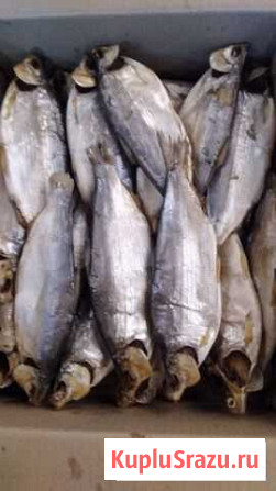 Минтай Полосатик Рыбец Воскресенское - изображение 1