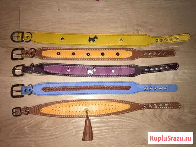 Ошейники для собак Раменское - изображение 1