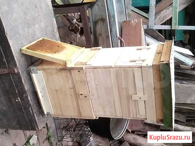 Ульи Бугуруслан - изображение 1