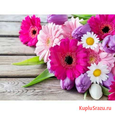 Картина по номерам Барнаул - изображение 1