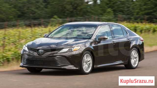 Лобовое стекло на Toyota Camry Майкоп - изображение 1