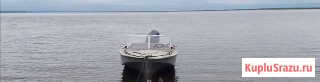 Амур М с Ямахой 100 F Салехард - изображение 1