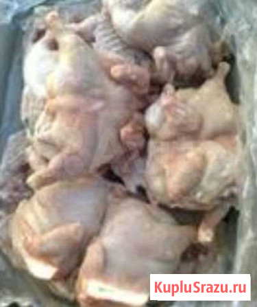 Куриная продукция для животных Ялта - изображение 1