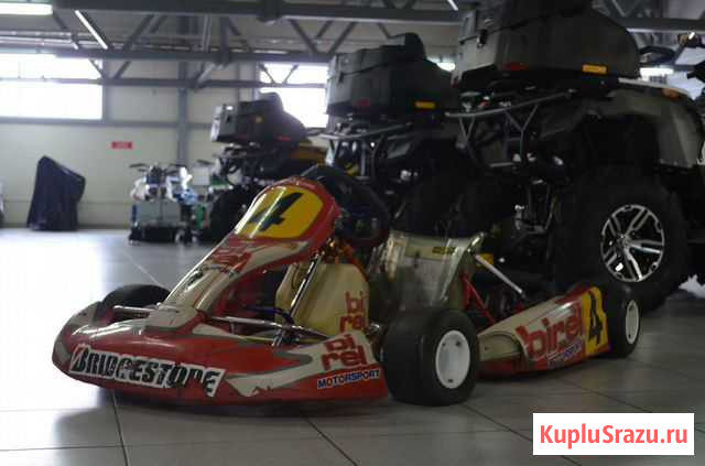 Картинг Rotax Max Екатеринбург - изображение 1