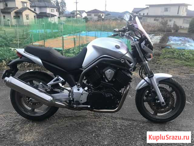 Yamaha BT 1100 Bulldog 2003г Владивосток - изображение 1