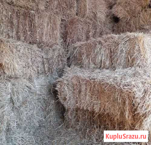 Сено в тюках Платоновка - изображение 1