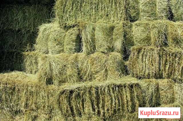 Продаем тюки Ядрин - изображение 1