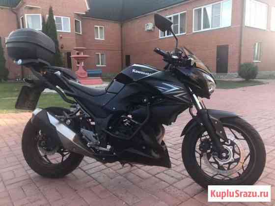 Kawasaki Z300 Луховицы