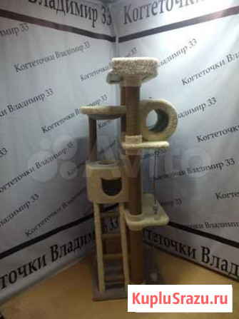 Когтеточка Владимир - изображение 1