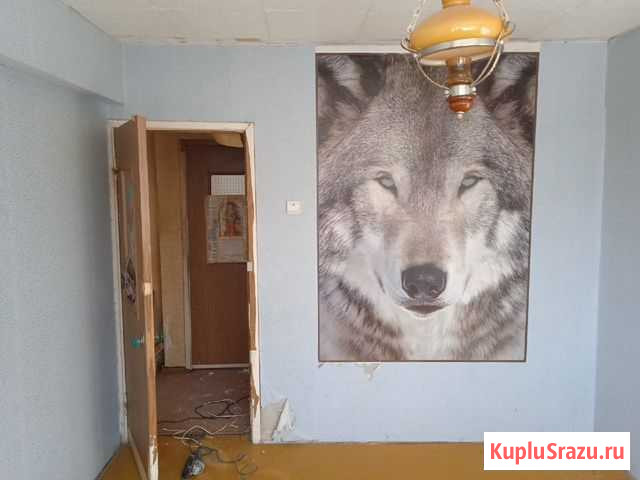 Демонтаж в квартире, магазине в частном доме Новомосковск - изображение 1