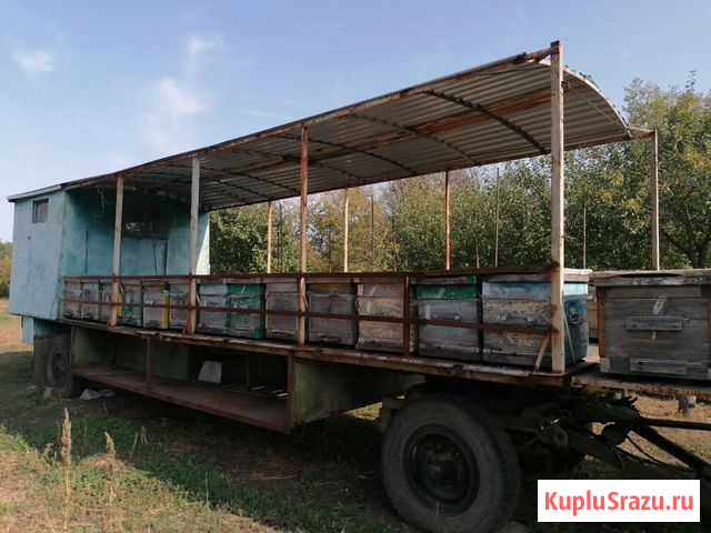 Пчеловодная телега Кашары - изображение 1