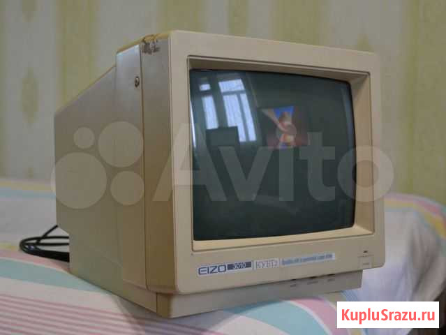Eizo 3010 (монохромный монитор из комплекта MSX) Балашов - изображение 1