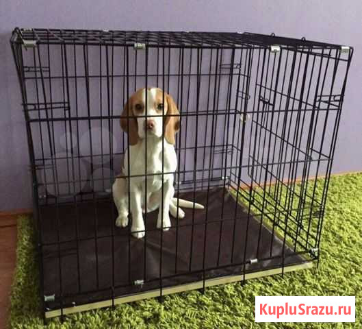 Клетка для собак Гарантия Магазин Новосибирск - изображение 1