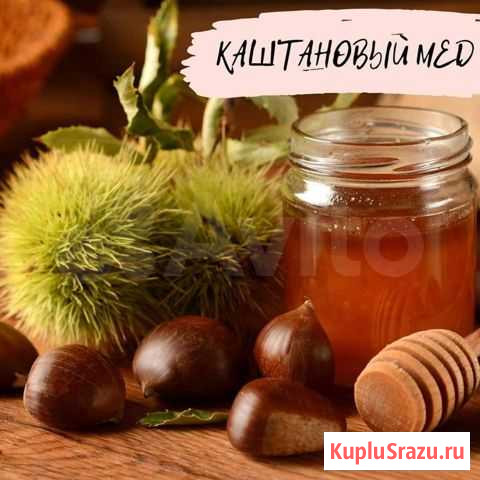 Каштановый мед Омск - изображение 1