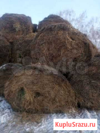 Продам сено Куйбышев - изображение 1