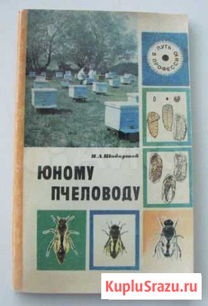 Шабаршов И. А. Юному пчеловоду Ростов-на-Дону - изображение 1