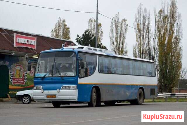 Дизель трактор Автобус дэу bh 116 DE12 продажа Новомалороссийская - изображение 1