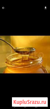 Мед Киселевск - изображение 1