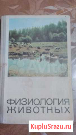 А.Г. Хрипкова Физиология животных Тамбов - изображение 1