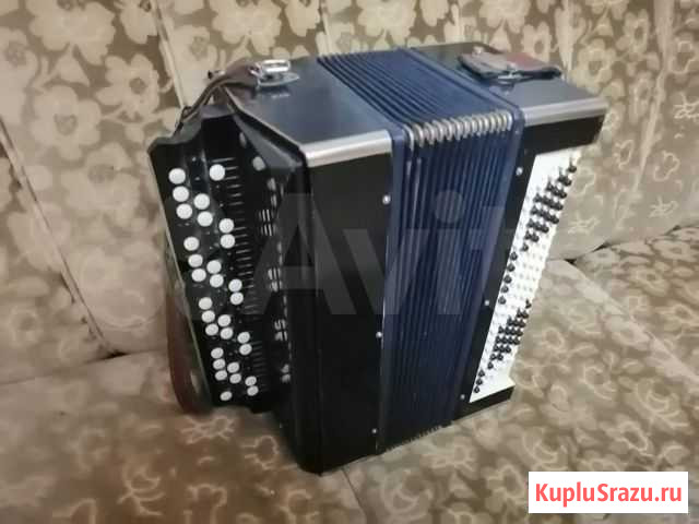 Баян Рассказово - изображение 1