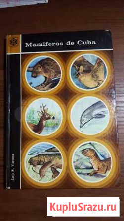Книга Новороссийск - изображение 1