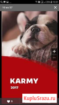 Корм «karmy» и «Для самых преданных” Туапсе - изображение 1