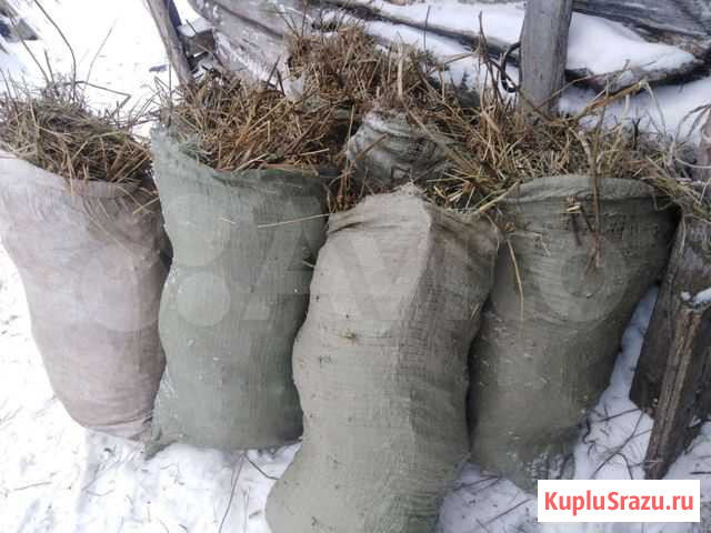 Сено в огород Новоуральск - изображение 1