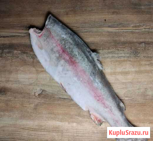 Рыба свежемороженая форель, Карелия Сочи - изображение 1
