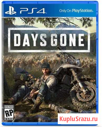 Days Gone/ Bloodborne / Detroit / Horizon Дубовое - изображение 1