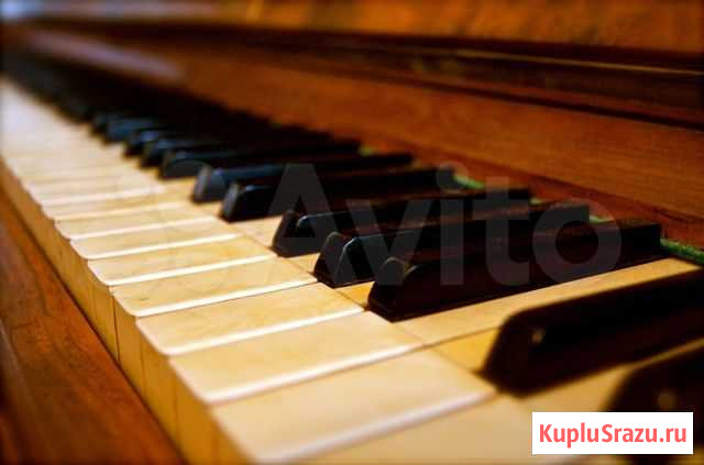 Продам пианино Черногорск - изображение 1