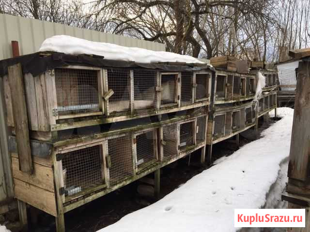 Клетки для кроликов бу Торжок - изображение 1
