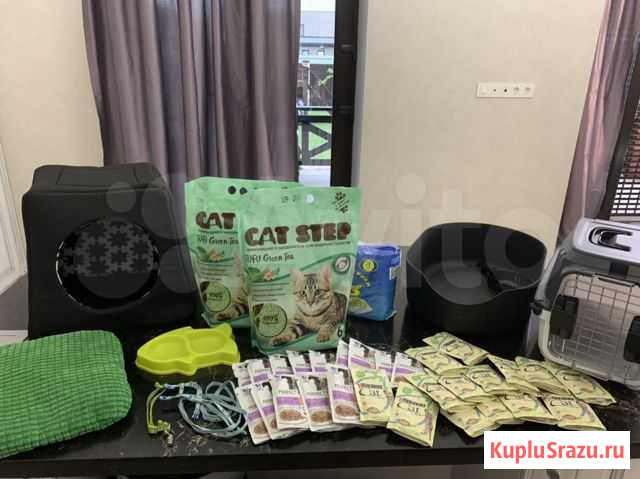 Полный набор для котёнка Краснодар - изображение 1