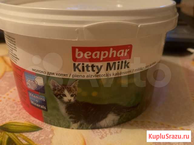 Молоко для котят Москва - изображение 1