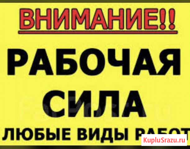 Бригада по Благоустройству Мурино - изображение 1