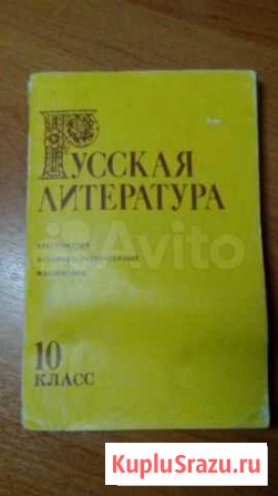 Учебное пособие Русская литература 10 класс Юрга - изображение 1
