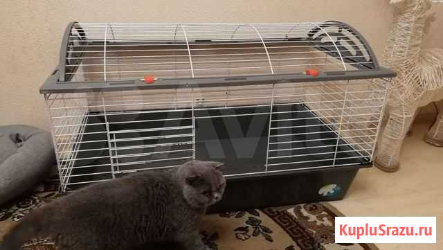 Клетка для грызунов большая Васильково - изображение 1