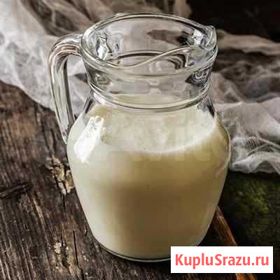 Козье молоко Санкт-Петербург - изображение 1