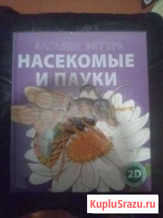 Книга Насекомые И Пауки Воронеж - изображение 1