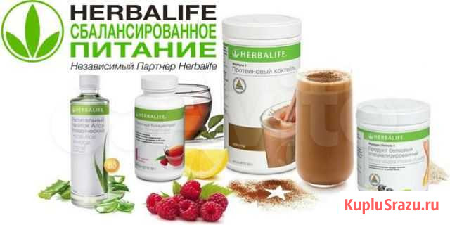 Алоэ Herbalife Омск - изображение 1