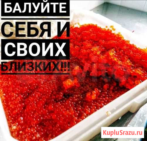 Икра красная Новосибирск - изображение 1