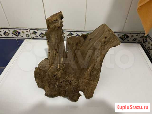 Коряга в аквариум Мытищи - изображение 1