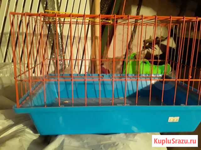 Клетка Домодедово - изображение 1