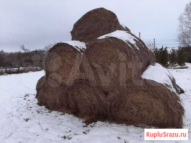 Сено в рулонах доставка Тимирязевский - изображение 1