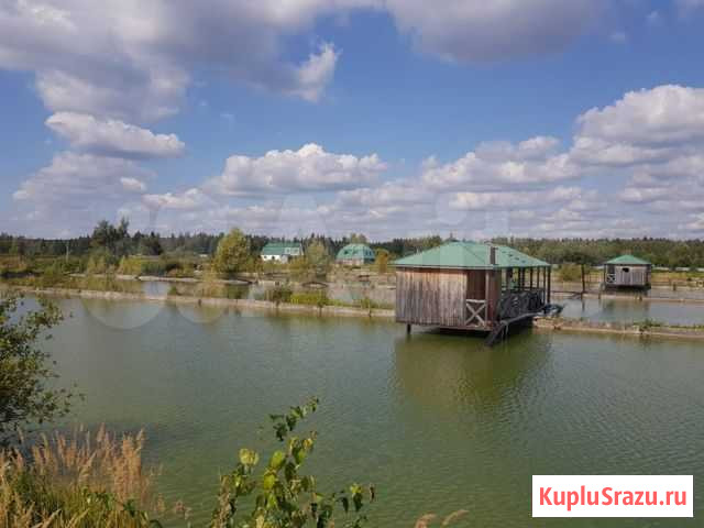Действующий рыболовный клуб рыбхоз рыбное хозяйств Фрязино - изображение 1
